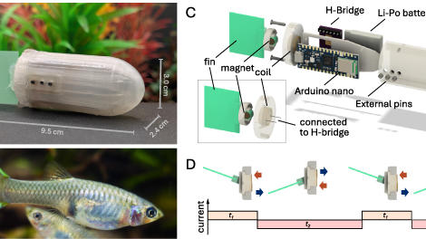 Blueguppy robot image from BB2025 paper