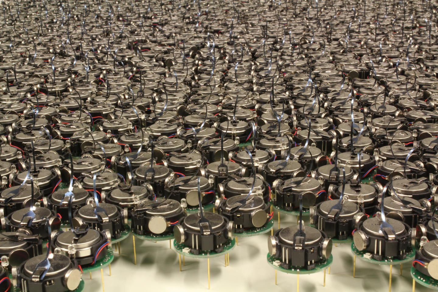 Swarm of kilobots clustered together