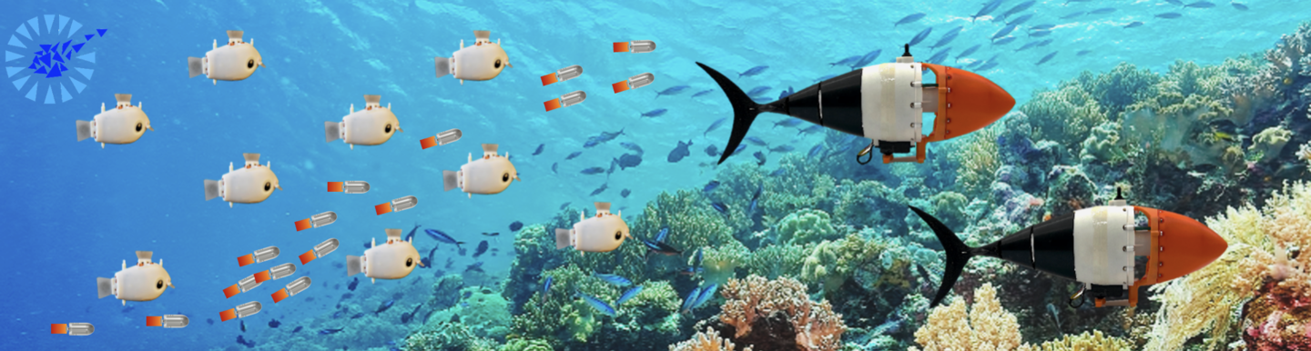 Image of coral with three different fish inspired robots