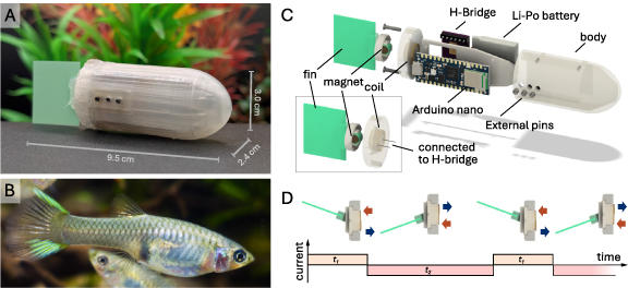 Blueguppy robot image from BB2025 paper